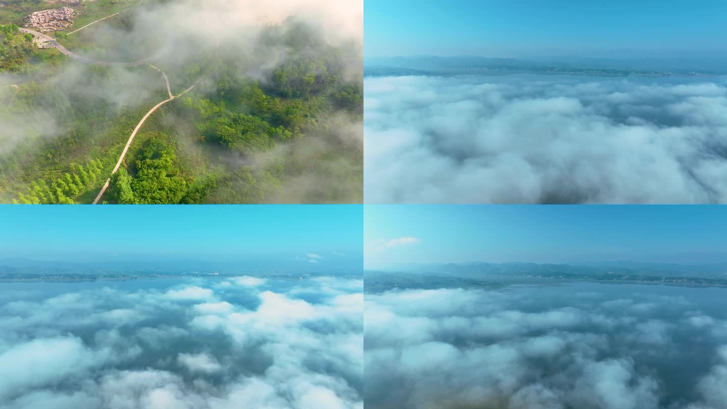 贵州威宁草海北坡生态公园云雾