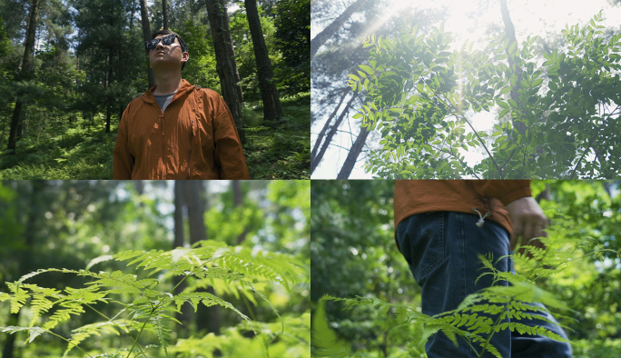 森林徒步阳光洒在脸上光影斑驳树荫夏天野外