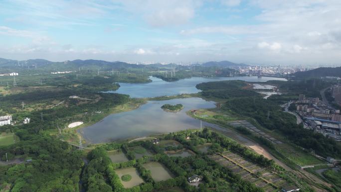 【正版素材】深圳宝安石岩湖，石岩水库