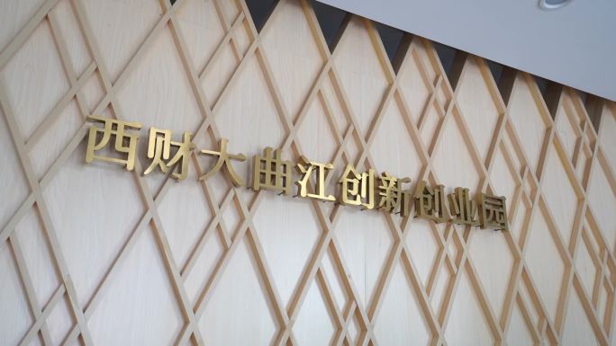 西安财经大学曲江创新创业园翠华里环境空景