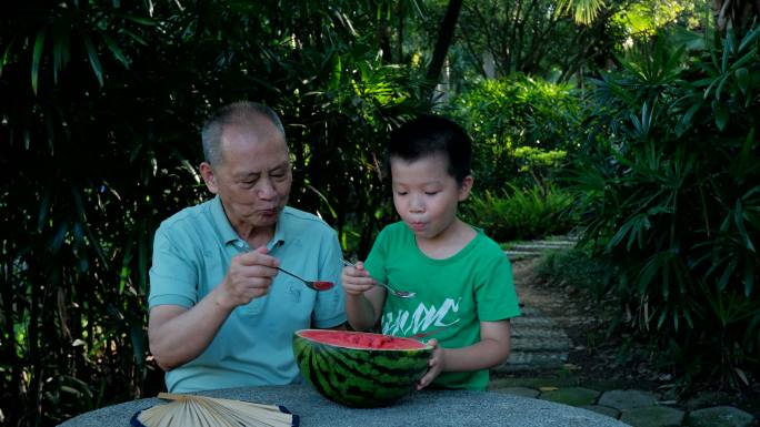 炎热夏天树下乘凉 老爷爷和孙子一起吃西瓜