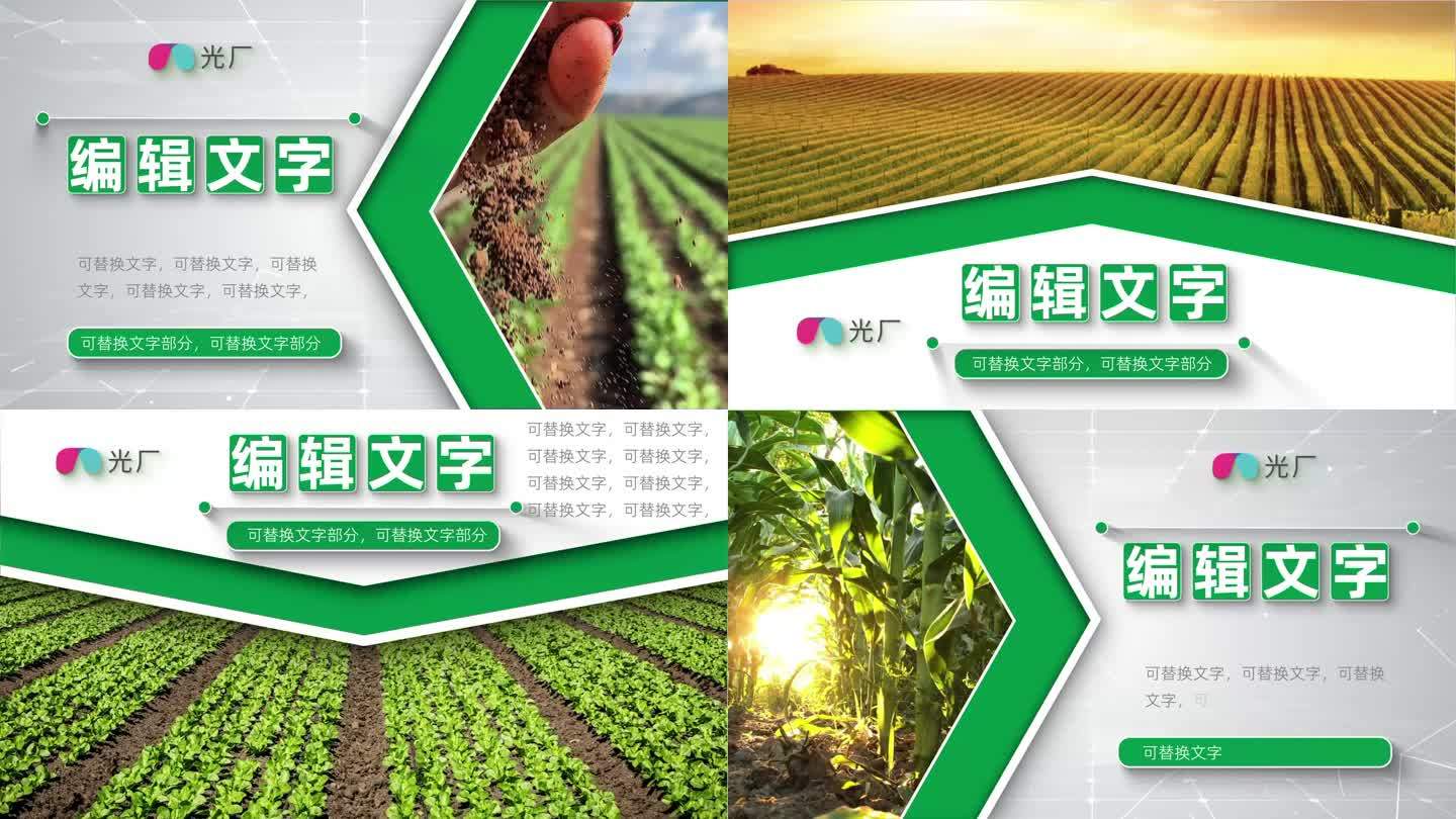 科技农业企业宣传片简洁片头片花4字幕板