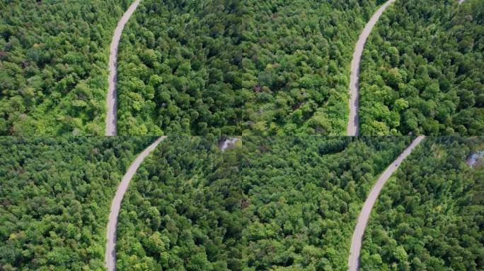 森林公路4k航拍空镜自然风景