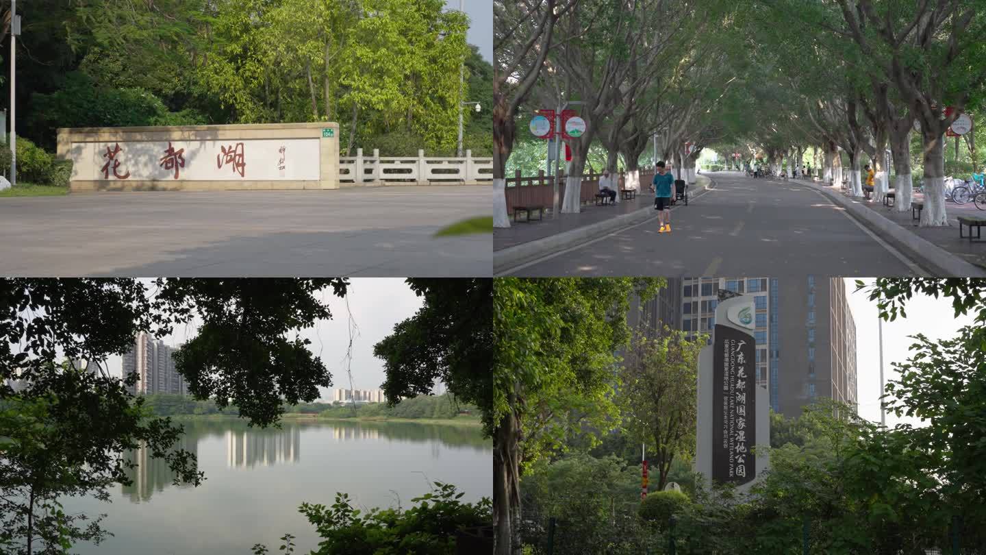 广州花都湖湿地公园国家一级公园