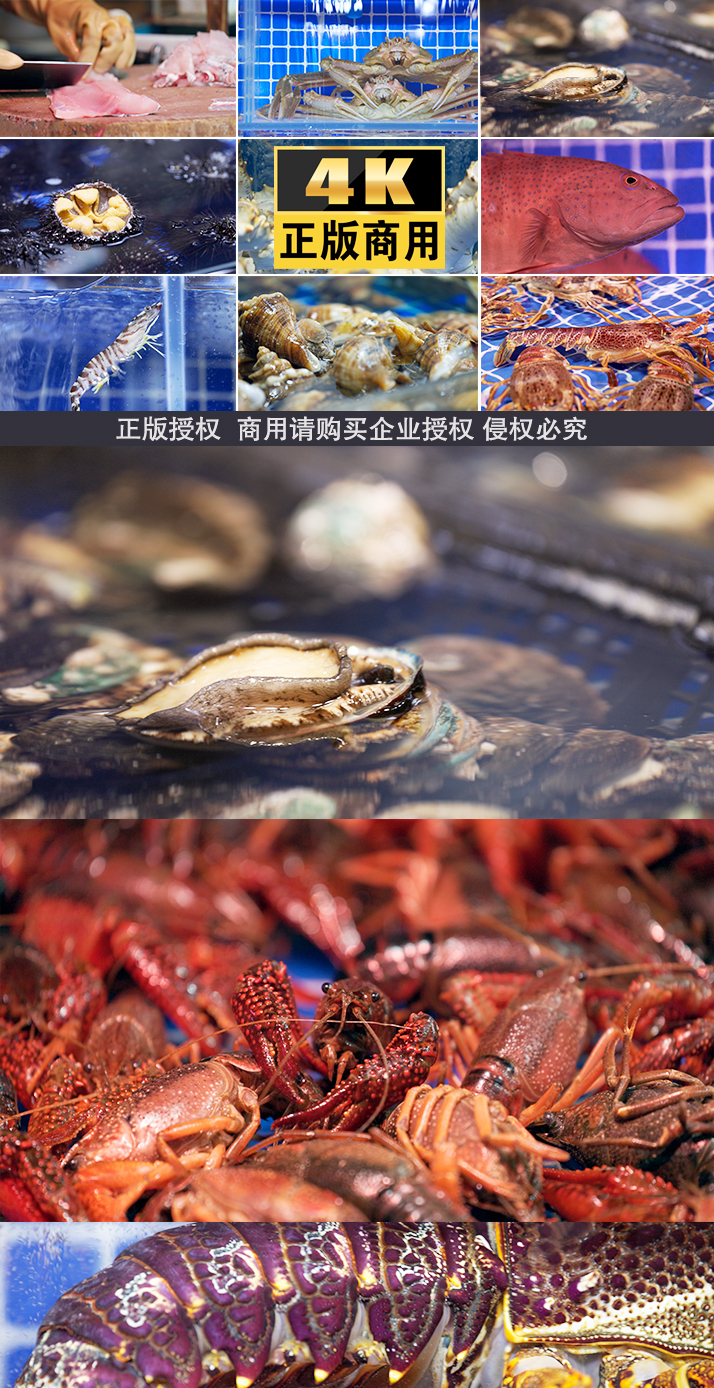 海鲜龙虾帝王蟹海胆生蚝虾海产品食材