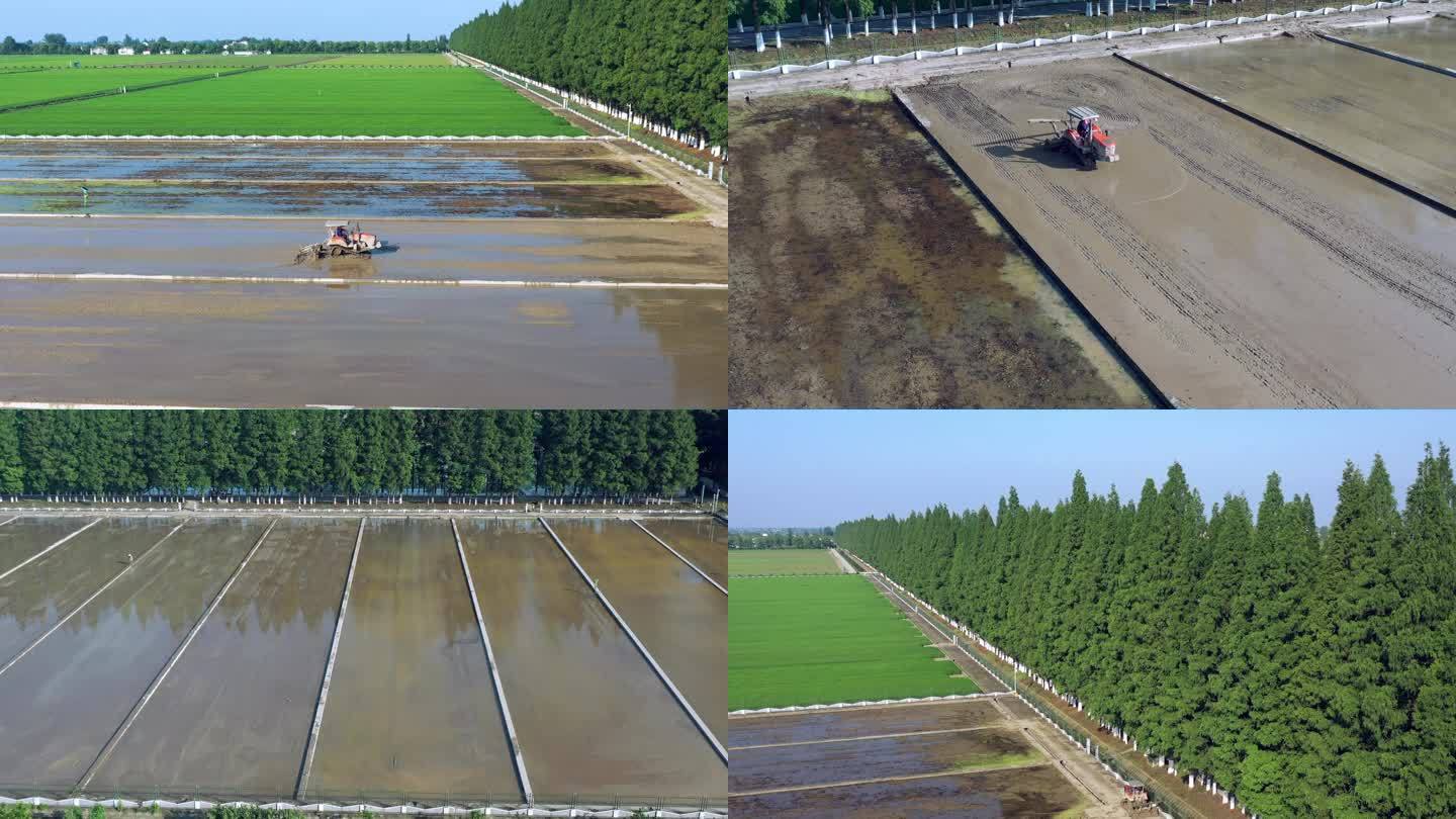 贺家山原种场航拍耕种杂交水稻种植基地4K