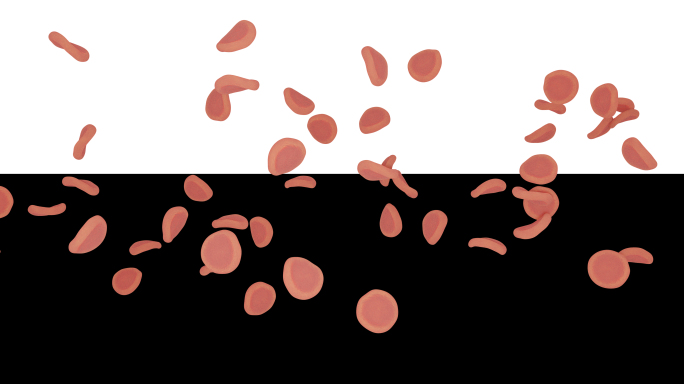 透明背景血细胞旋转流动动画