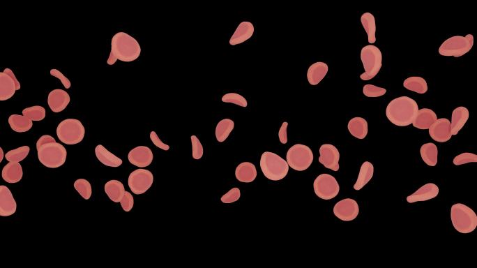 透明背景血细胞旋转流动动画