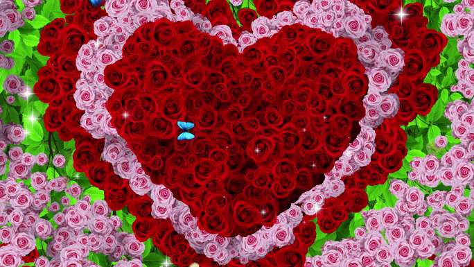 4K唯美的爱心玫瑰花背景素材