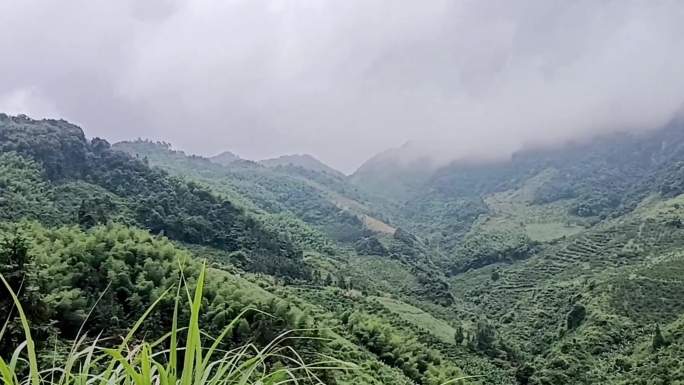 近距离接触感受大山区无与伦比的野性之美！