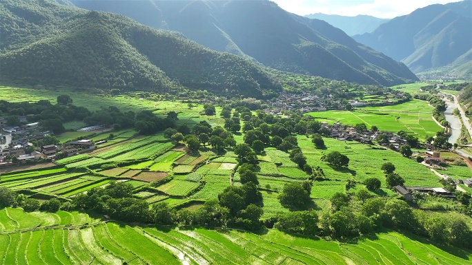 云南塔城 乡村梯田