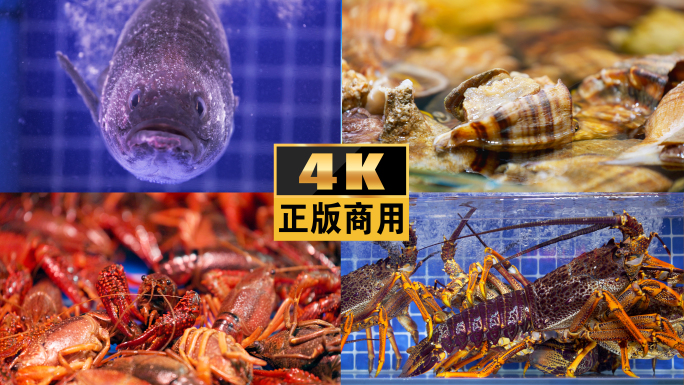 海鲜市场鲍鱼菜市场帝王蟹澳洲龙虾水产食材