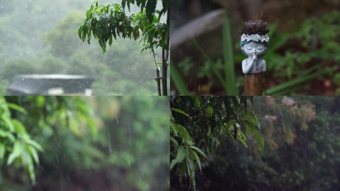 自然环境绿色生态下雨绿叶空镜头