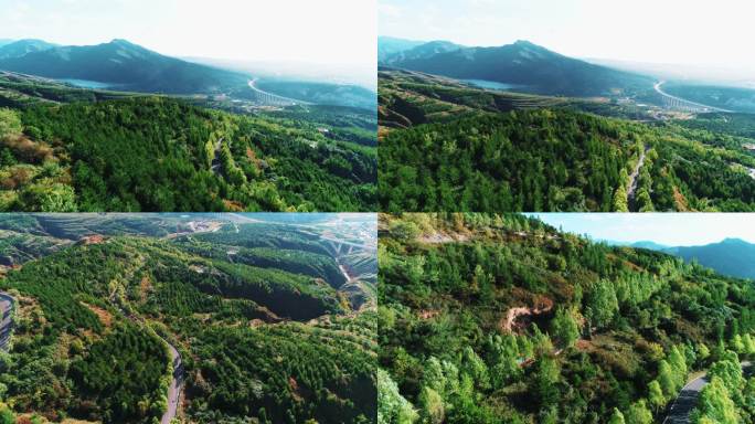 4K盘山路高山芦芽山航拍