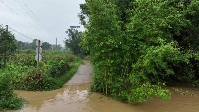 洪水来了乡村桥被淹没