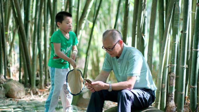 炎热夏天竹林里看手机  孙子给爷爷摇扇子