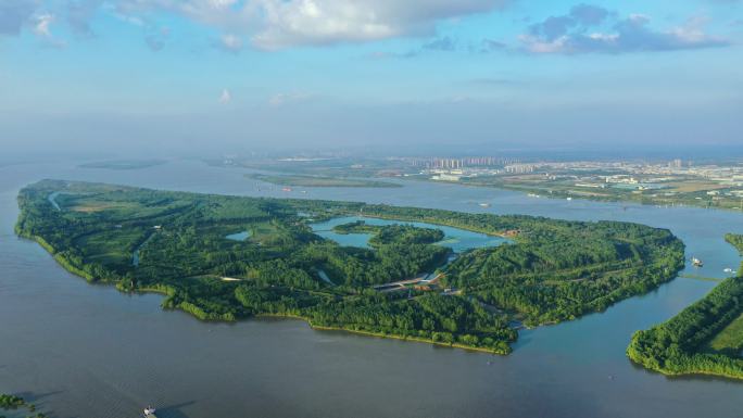 江苏南京长江新济洲国家湿地公园延时