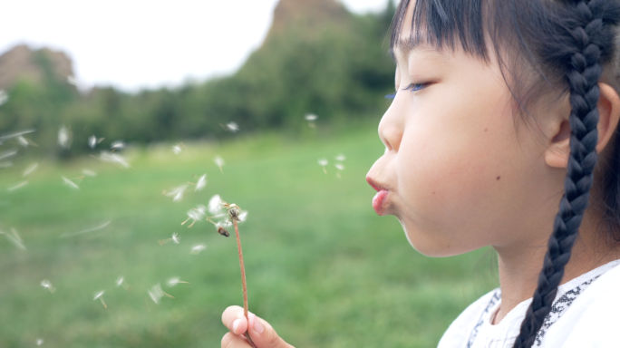 小朋友吹蒲公英  放飞梦想