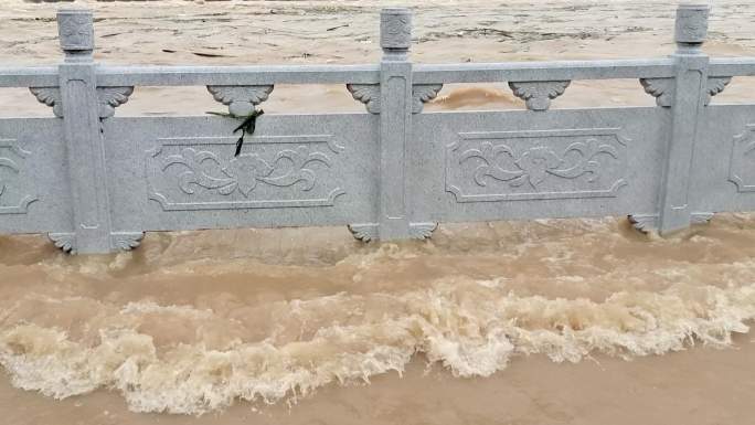 暴雨洪水浸野草暴雨后洪水淹没河水暴涨水患