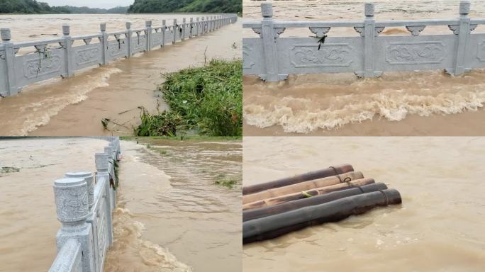 暴雨洪水浸野草暴雨后洪水淹没河水暴涨水患