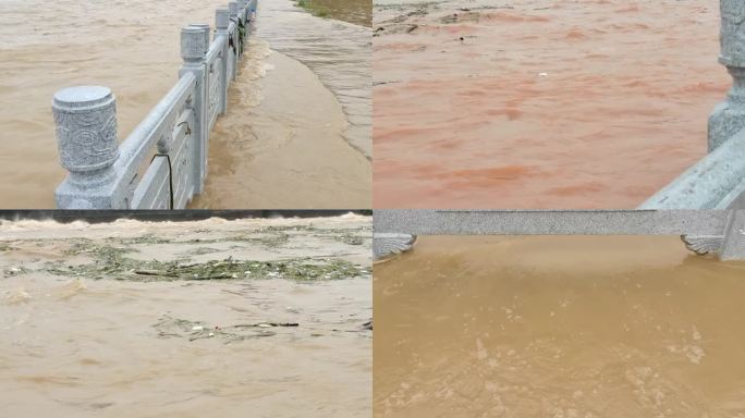 暴雨 洪水浸野草 暴雨后 洪水淹没水患