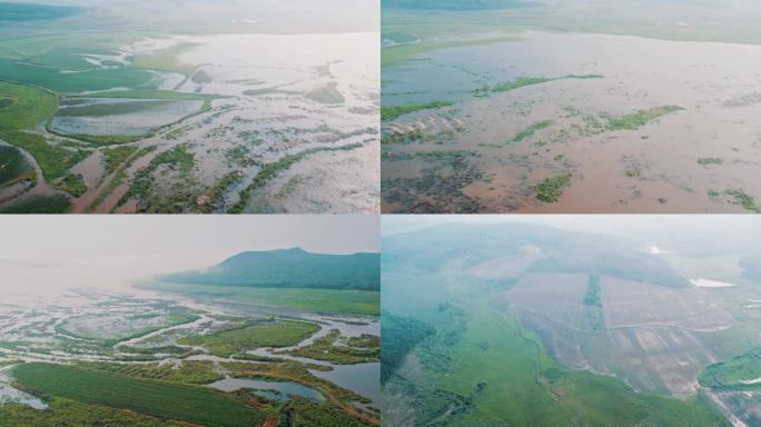 航拍黑龙江湿地沼泽农田