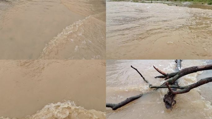 暴雨 洪水浸野草 暴雨后 洪水淹没水患