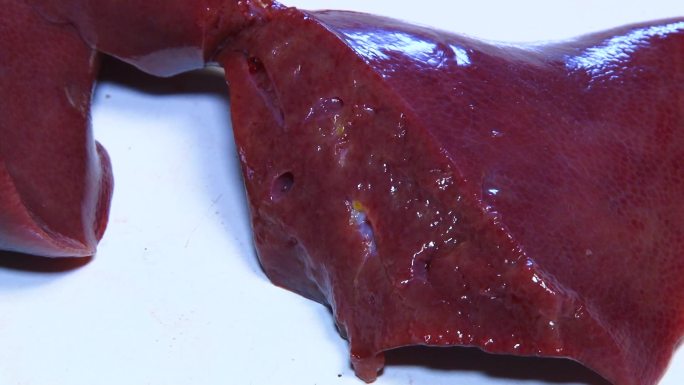 实验室解剖 猪内脏 脾脏 横切面 病变