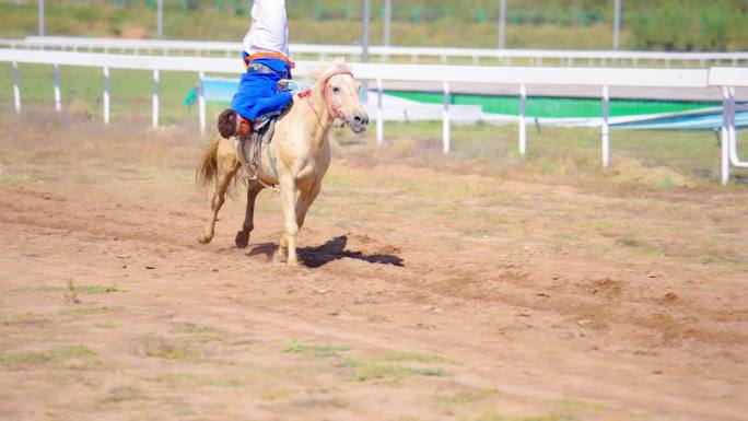 蒙古族骑马马术表演慢动作