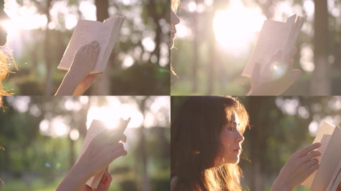 女孩在阳光下看书 翻书