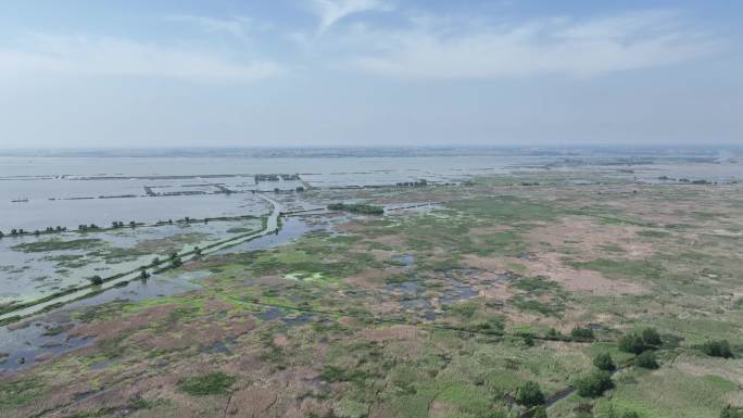 洪泽湖湿地国家级自然保护区4K