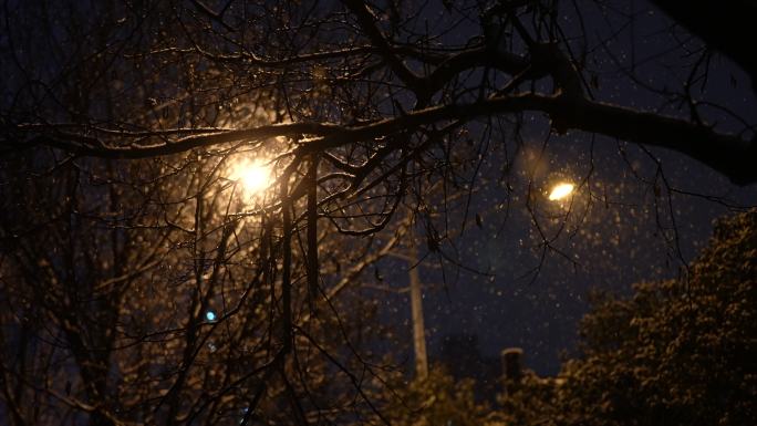 大雪纷飞雪花冬天大雪夜晚下雪飘雪血液冬季