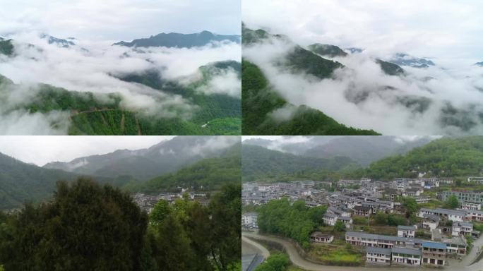 甘肃 陇南 裕河 群山 云海 茶园 山河