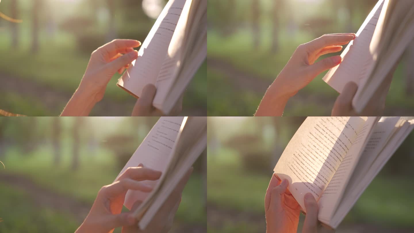 女孩在夕阳下看书阅读