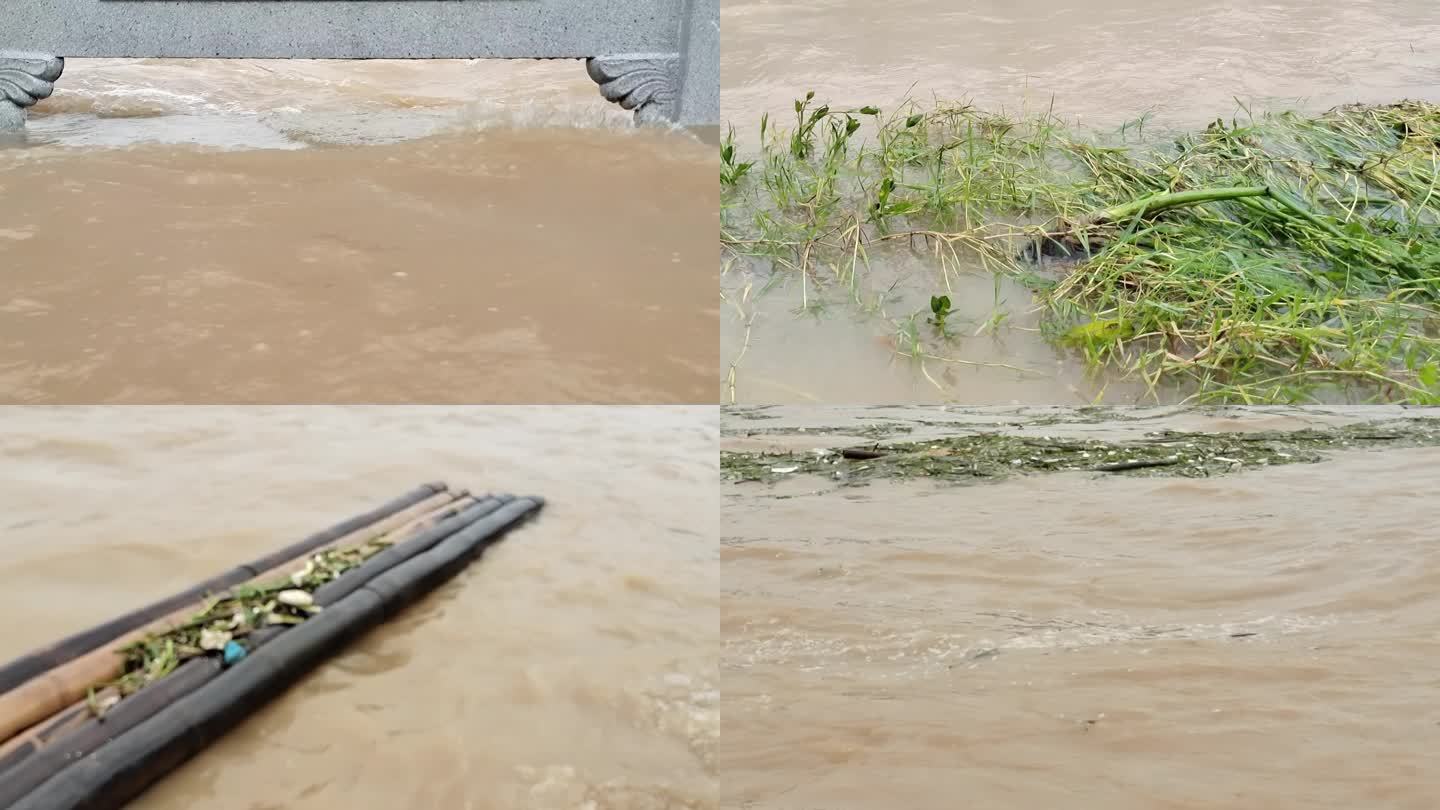洪水浸野草暴雨后洪水淹没河水暴涨水患