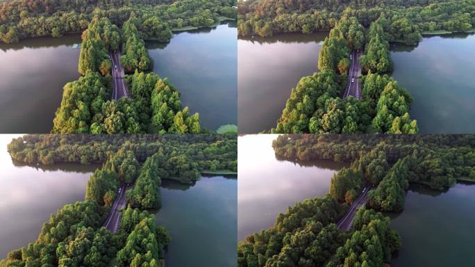 西湖杨公堤 沿湖公路跟车俯拍