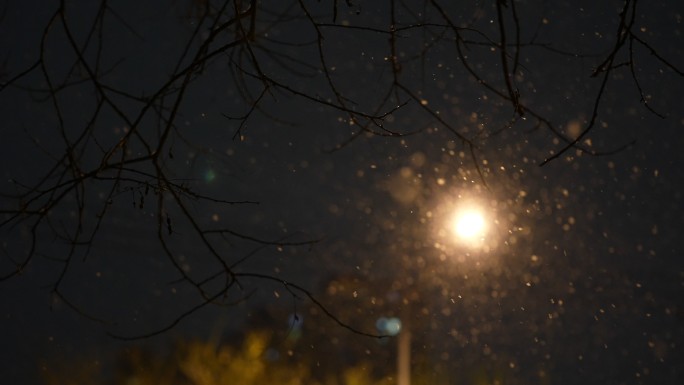 大雪纷飞雪花冬天大雪夜晚下雪飘雪血液冬季