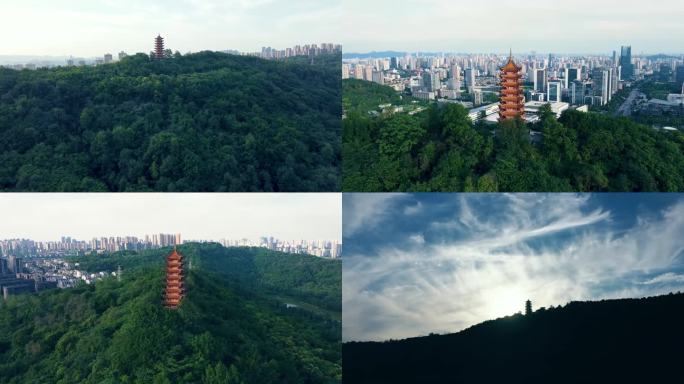 重庆照母山森林公园塔城市4K航拍