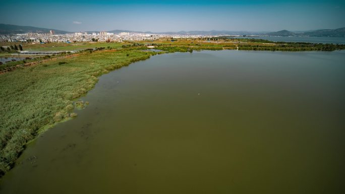 湿地水质对比改善航拍