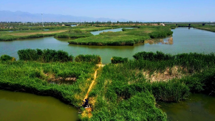 芦苇荡湿地湖泊生态环境