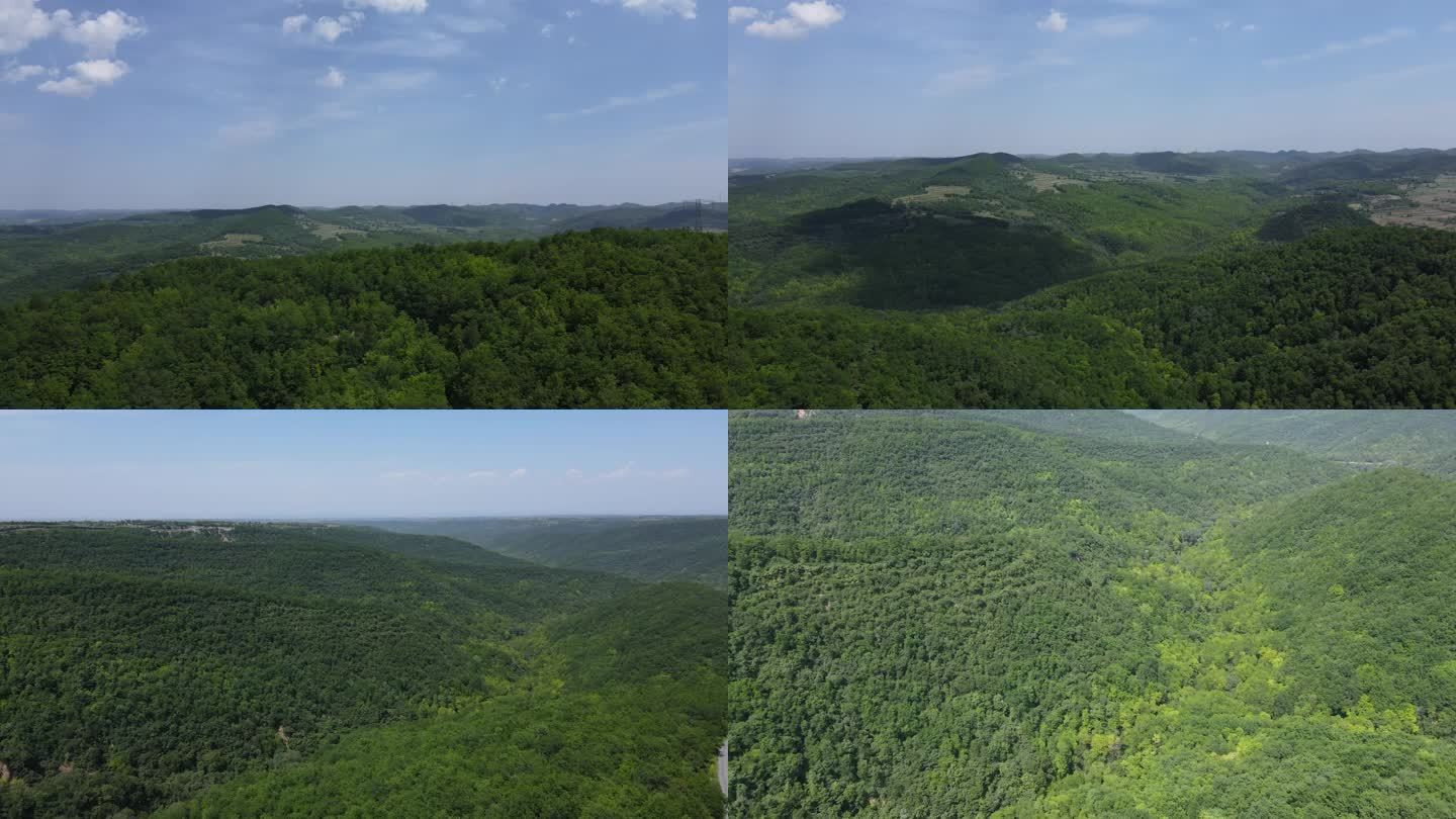 航拍绿色山林空景