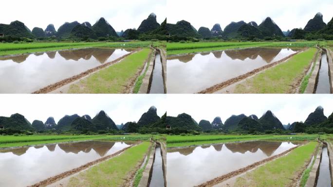 美丽的田野乡村景色美景稻田