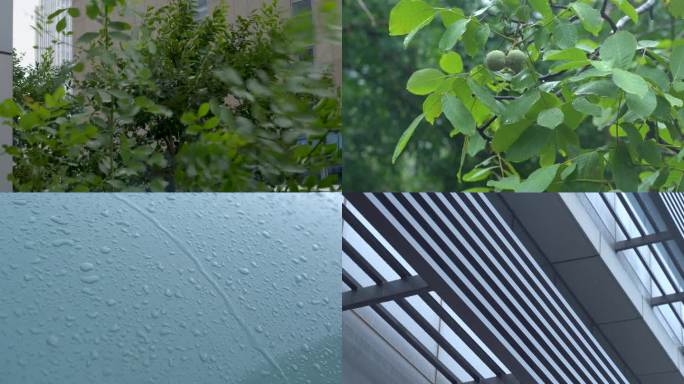 意境下雨空镜  雨季  意境素材  窗户
