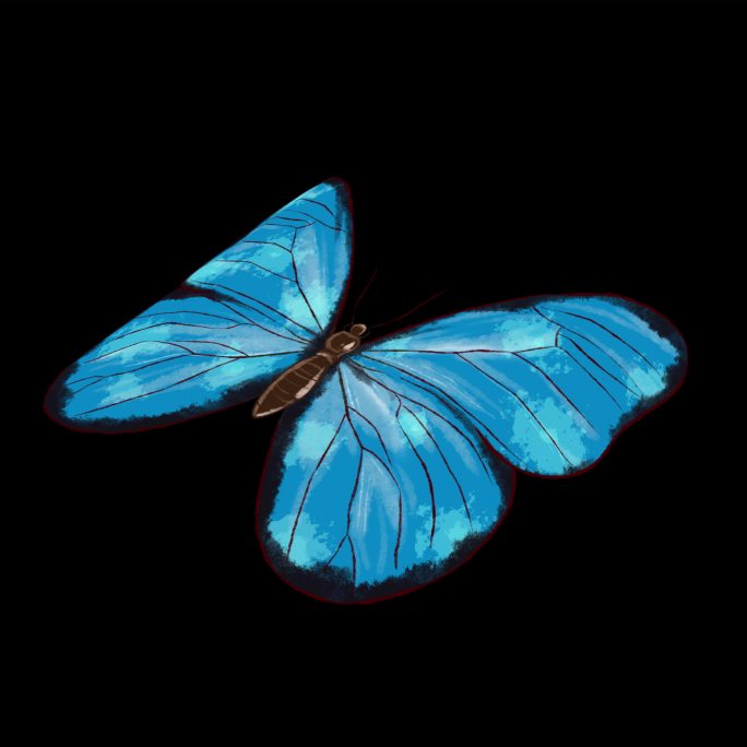 一只朴素的花蝴蝶 （可任意旋转角度）