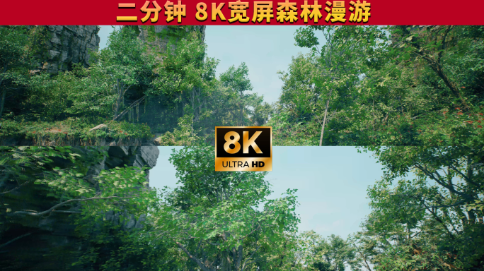 8K超宽屏森林沉浸式漫游