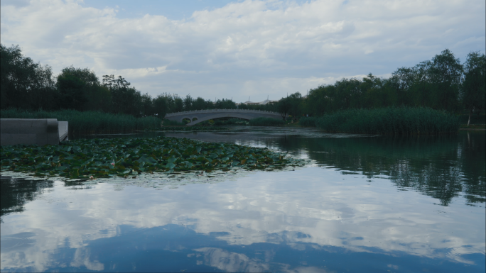 北京通州绿心森林公园 夏季