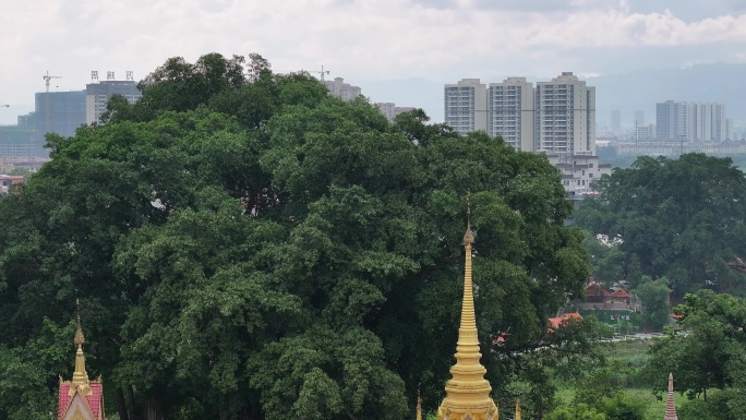 瑞丽市传统傣族佛寺与现代住宅区