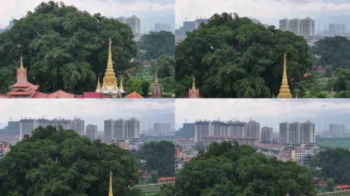 瑞丽市传统傣族佛寺与现代住宅区