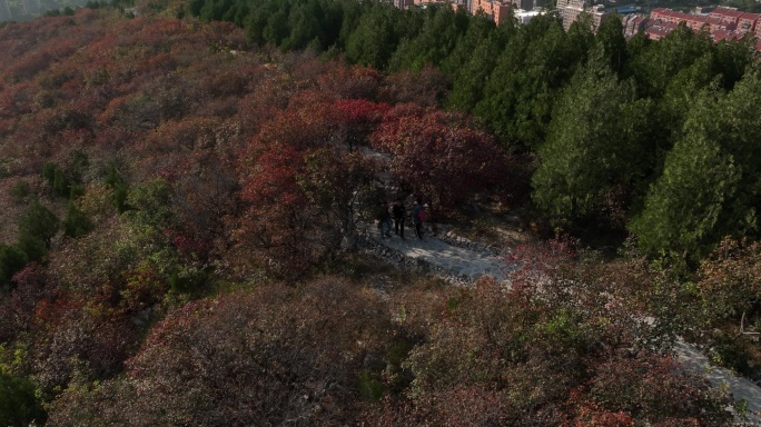 济南市市中区蝎子山红叶