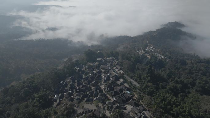 景迈山 云海 村寨 村庄 少数民族 茶农